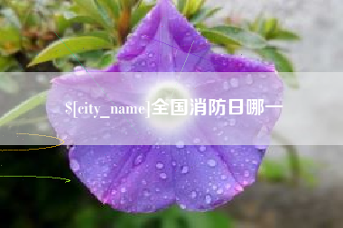 辽阳全国消防日哪一