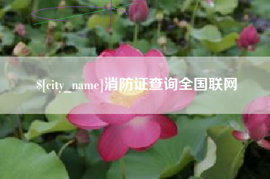 辽阳消防证查询全国联网