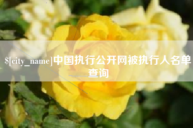 辽阳中国执行公开网被执行人名单查询