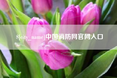 辽阳中国消防网官网入口