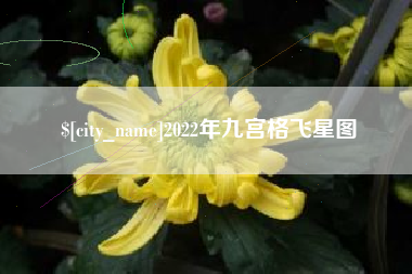 辽阳2022年九宫格飞星图
