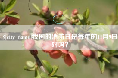 辽阳我国的消防日是每年的11月9日对吗？