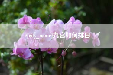 辽阳九宫如何排日
