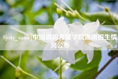 辽阳中国消防救援学院湖南招生情况公布