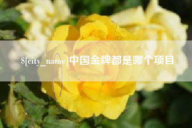 辽阳中国金牌都是哪个项目