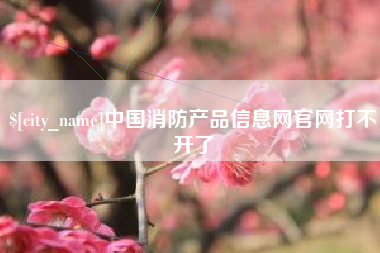 辽阳中国消防产品信息网官网打不开了