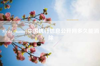 辽阳中国执行信息公开网多久能消除