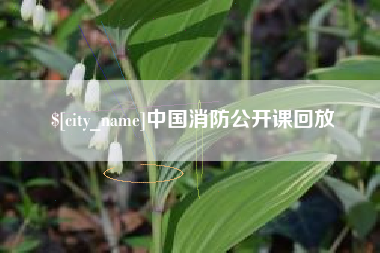 辽阳中国消防公开课回放