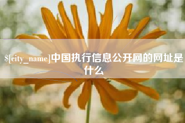 辽阳中国执行信息公开网的网址是什么