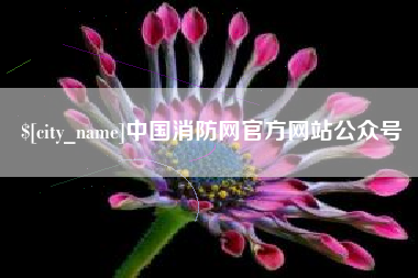 辽阳中国消防网官方网站公众号