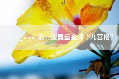 辽阳第一波奥运金牌“九宫格”