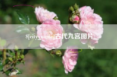 辽阳古代九宫图片