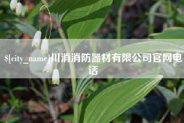 辽阳川消消防器材有限公司官网电话
