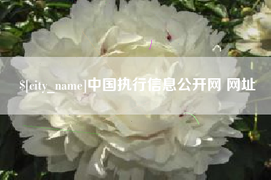 辽阳中国执行信息公开网 网址