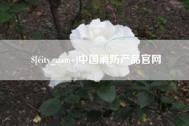 辽阳中国消防产品官网