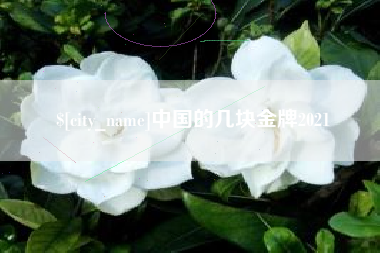 辽阳中国的几块金牌2021