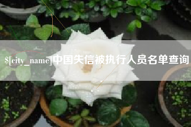 辽阳中国失信被执行人员名单查询