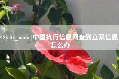 辽阳中国执行信息网查到立案信息怎么办