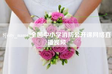辽阳全国中小学消防公开课网络直播视频