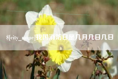 辽阳我国消防日是几月几日几日