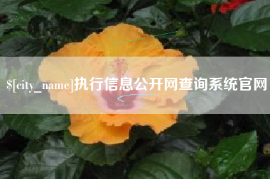 辽阳执行信息公开网查询系统官网