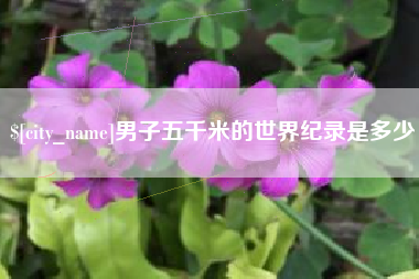 辽阳男子五千米的世界纪录是多少