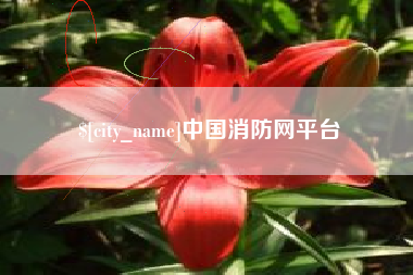 辽阳中国消防网平台