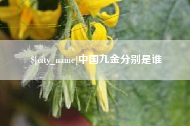 辽阳中国九金分别是谁