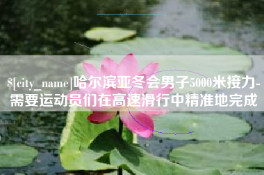 辽阳哈尔滨亚冬会男子5000米接力-需要运动员们在高速滑行中精准地完成