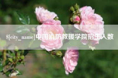 辽阳中国消防救援学院招生人数