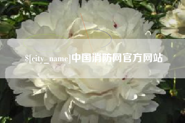辽阳中国消防网官方网站