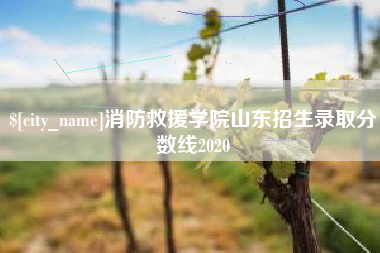 辽阳消防救援学院山东招生录取分数线2020