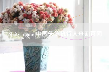 辽阳中国失信执行人查询官网