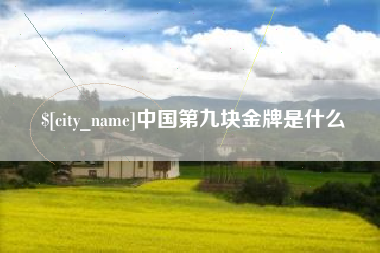 辽阳中国第九块金牌是什么