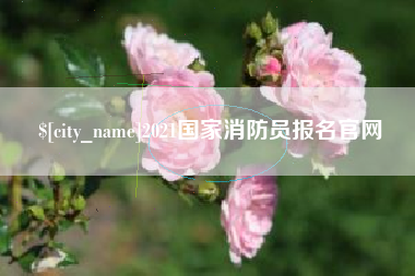 辽阳2021国家消防员报名官网