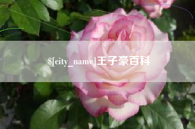 辽阳王子豪百科