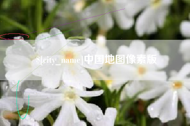辽阳中国地图像素版