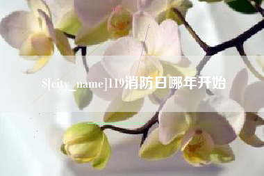辽阳119消防日哪年开始
