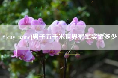 辽阳男子五千米世界冠军奖金多少