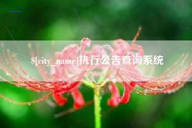 辽阳执行公告查询系统