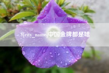 辽阳中国金牌都是啥