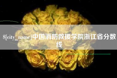 辽阳中国消防救援学院浙江省分数线
