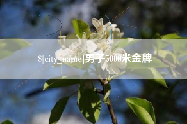辽阳男子5000米金牌