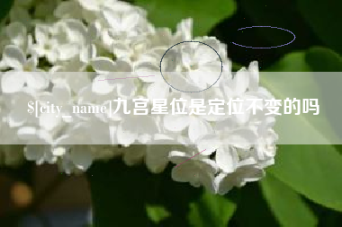 辽阳九宫星位是定位不变的吗