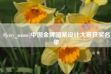 辽阳中国金牌图案设计大赛获奖名单