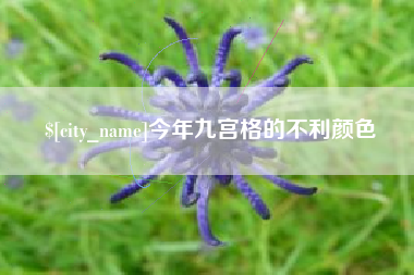 辽阳今年九宫格的不利颜色