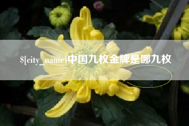辽阳中国九枚金牌是哪九枚