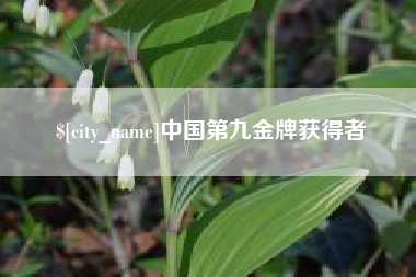 辽阳中国第九金牌获得者