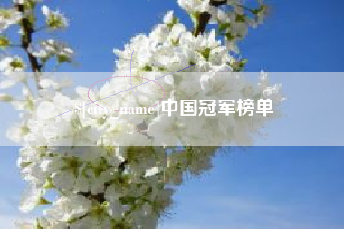 辽阳中国冠军榜单