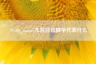 辽阳九宫宫位数字代表什么